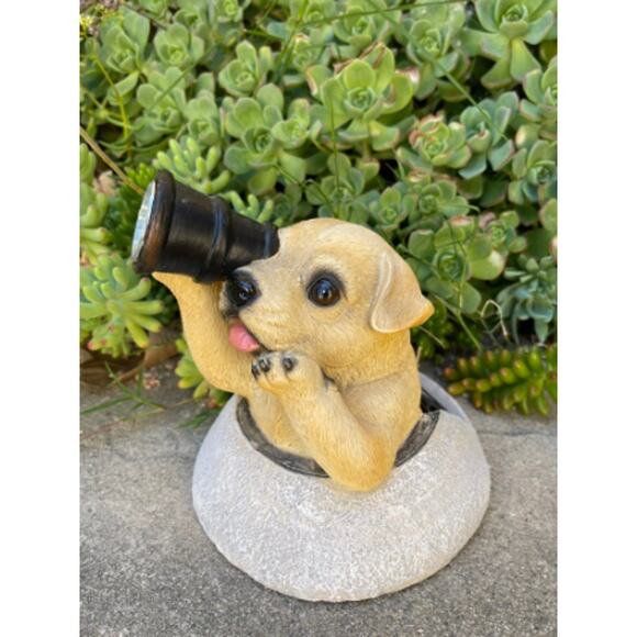 Puppy with Telescope Outdoor Solar Light NEW - Picture 1 of 5